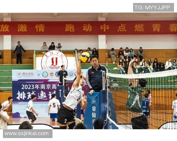 深圳排球队逆袭之旅的奋斗与荣耀记录