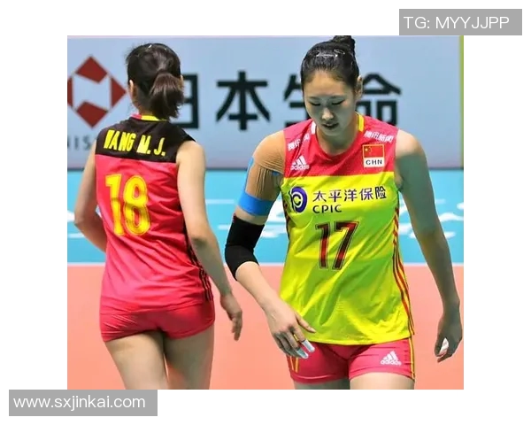 体育实时数据南京排球队实力深度解析聚焦排球运动发展与未来潜力