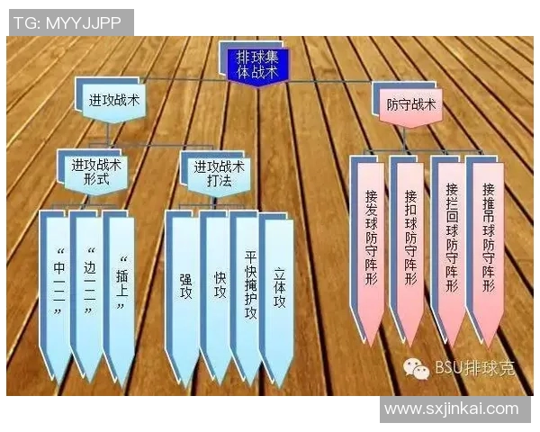 体育实时数据西安排球队中路突破的战术分析与成效评估