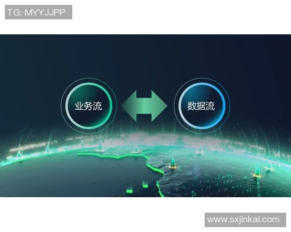 武汉极限运动队进攻体系探索与战术创新的深度分析实时数据 武汉极限运动队进攻体系探索与战术创新的深度分析实时数据