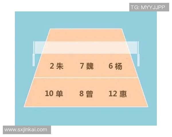 实时新闻深圳排球队整体压制战术解析与未来发展展望